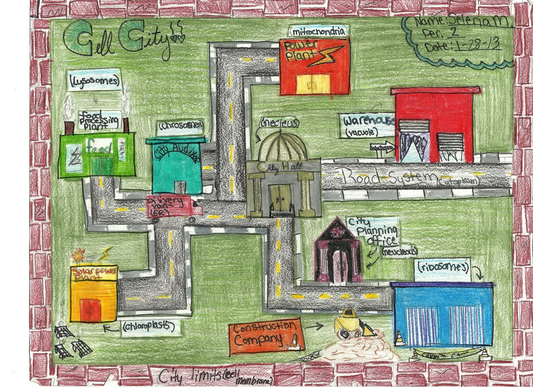 plant cell city analogy project